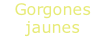 Gorgones jaunes