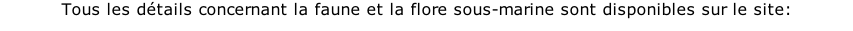 Tous les détails concernant la faune et la flore sous-marine sont disponibles sur le site: